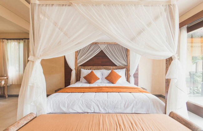 Maecenas ullamcorper